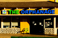 The Orphanage: Priceless Pet Rescue